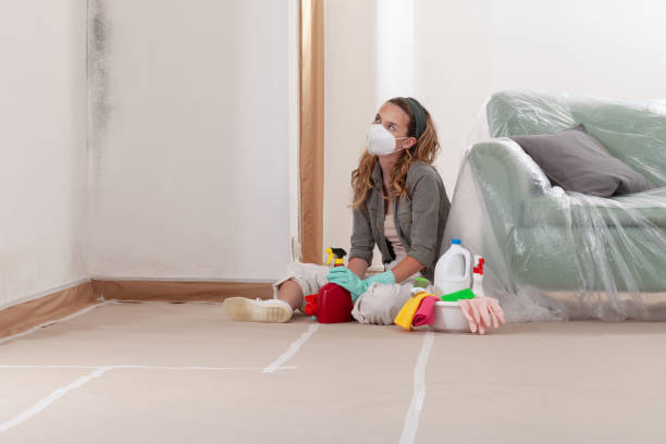Reliable Black Mold Removal contractor in Wingate, MD by WQB Mold Removal